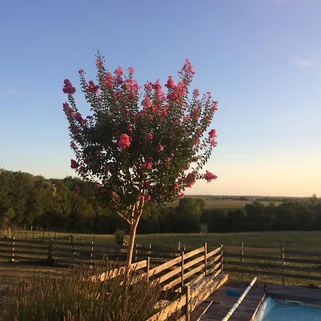 Villa Taru Marais Poitevin *