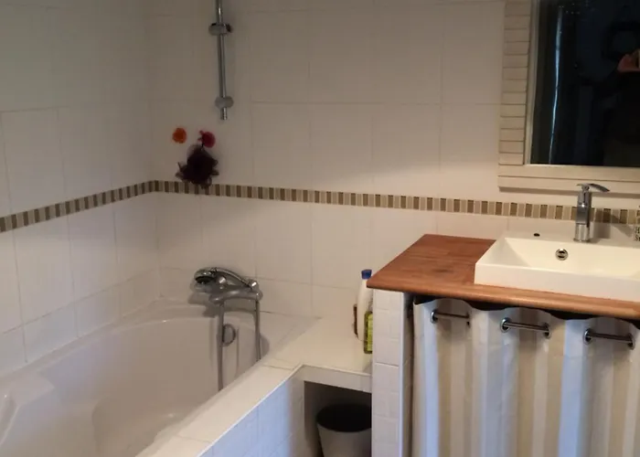 Taru Marais Poitevin 别墅 *