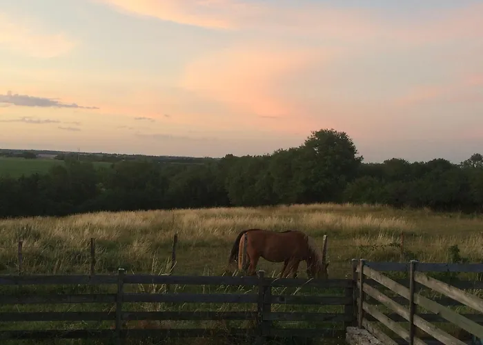 别墅 Taru Marais Poitevin Chauray